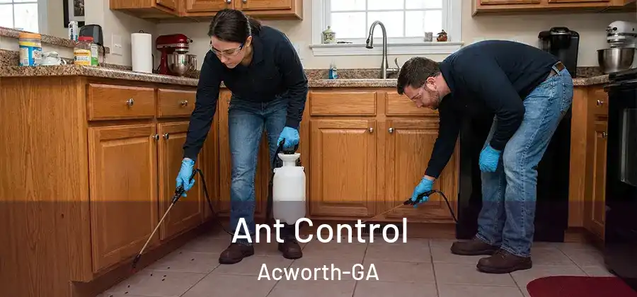 Ant Control Acworth-GA