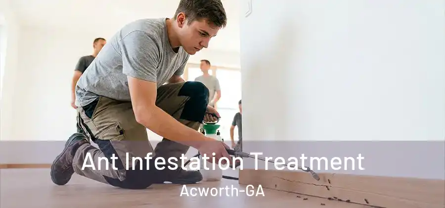  Ant Infestation Treatment Acworth-GA