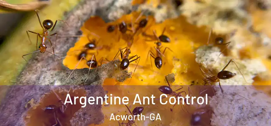 Argentine Ant Control Acworth-GA