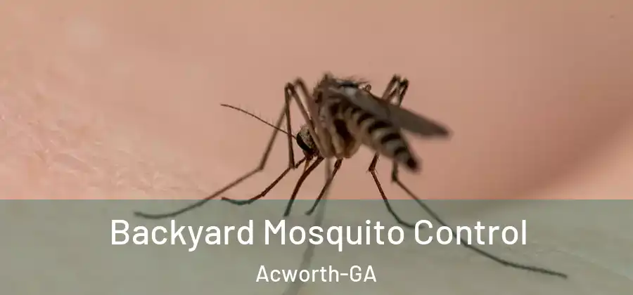  Backyard Mosquito Control Acworth-GA