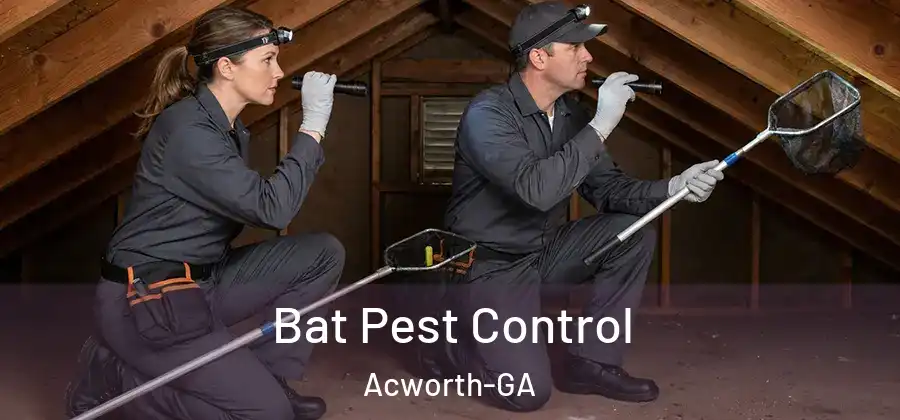Bat Pest Control Acworth-GA