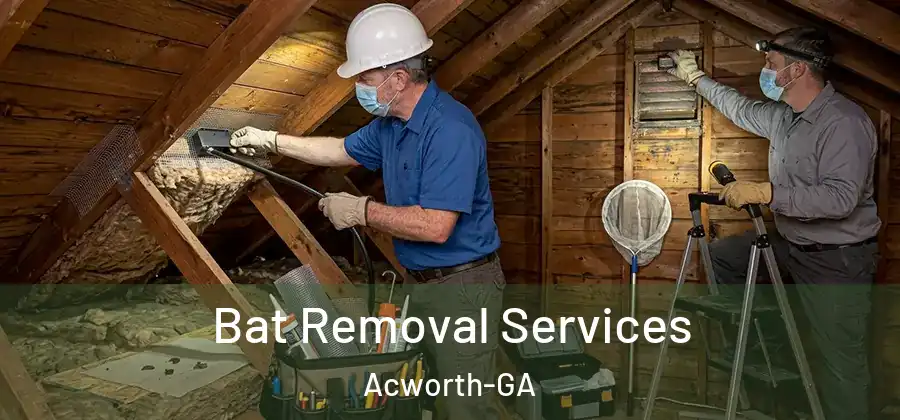 Bat Removal Services Acworth-GA