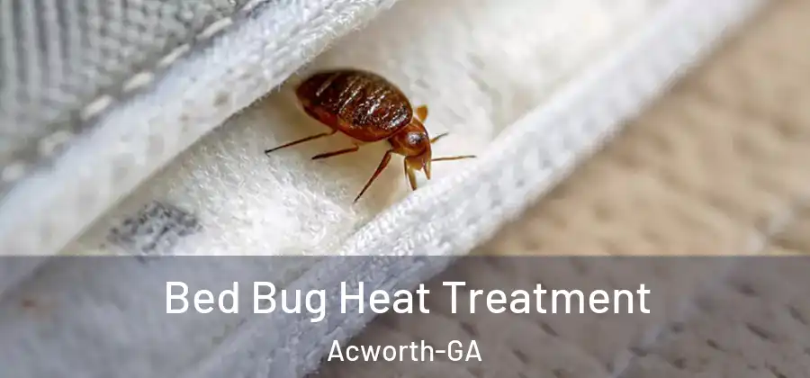 Bed Bug Heat Treatment Acworth-GA