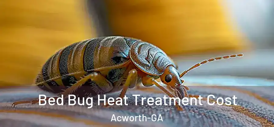  Bed Bug Heat Treatment Cost Acworth-GA