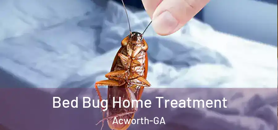 Bed Bug Home Treatment Acworth-GA