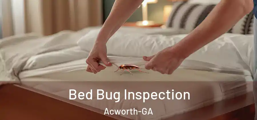 Bed Bug Inspection Acworth-GA