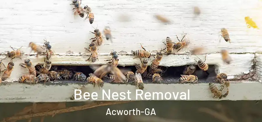 Bee Nest Removal Acworth-GA