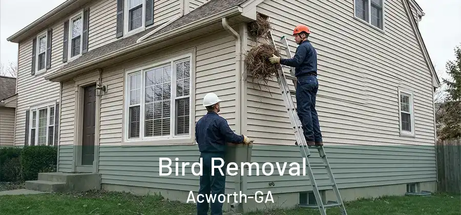 Bird Removal Acworth-GA