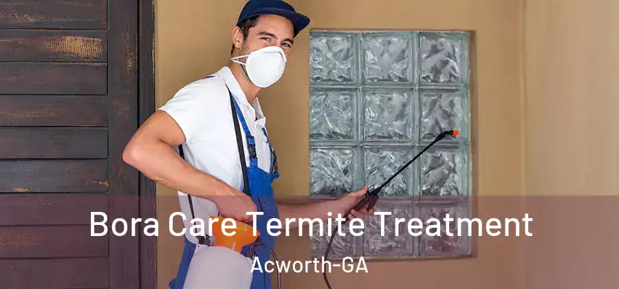 Bora Care Termite Treatment Acworth-GA