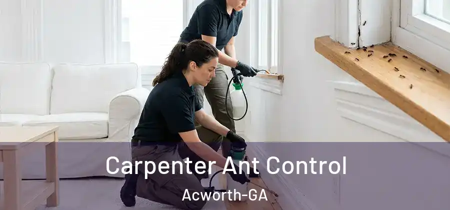  Carpenter Ant Control Acworth-GA