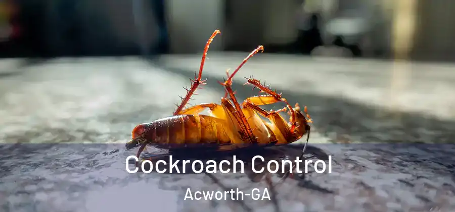 Cockroach Control Acworth-GA
