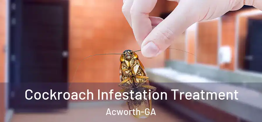 Cockroach Infestation Treatment Acworth-GA