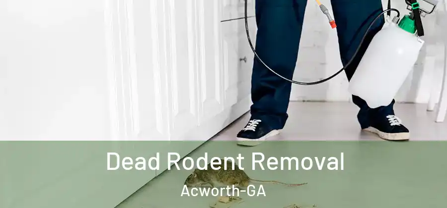 Dead Rodent Removal Acworth-GA