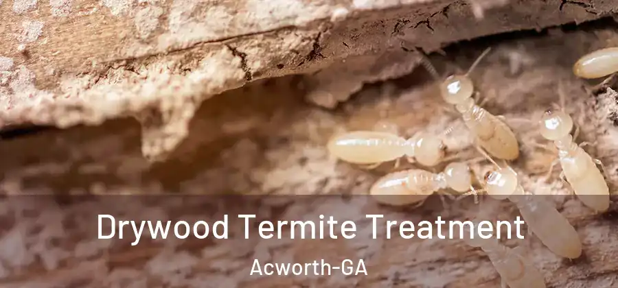 Drywood Termite Treatment Acworth-GA