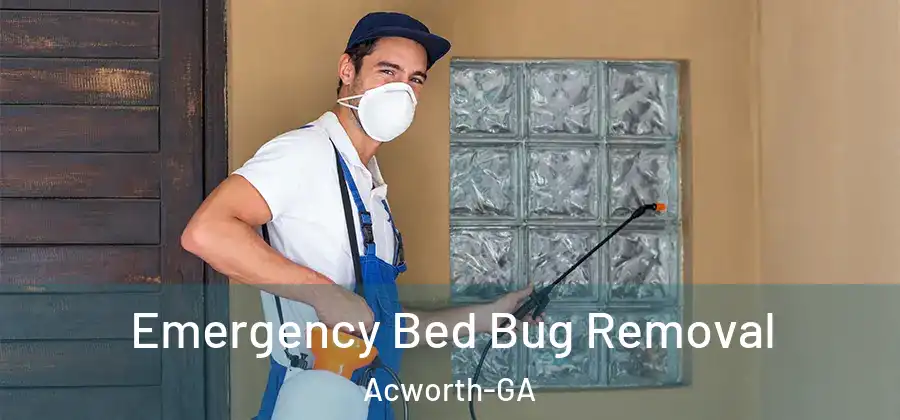 Emergency Bed Bug Removal Acworth-GA