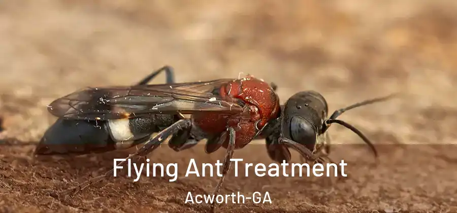  Flying Ant Treatment Acworth-GA