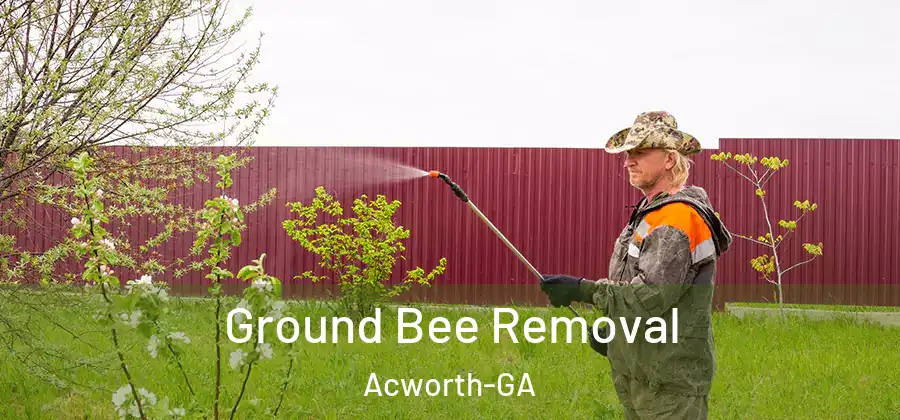 Ground Bee Removal Acworth-GA