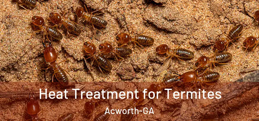  Heat Treatment for Termites Acworth-GA