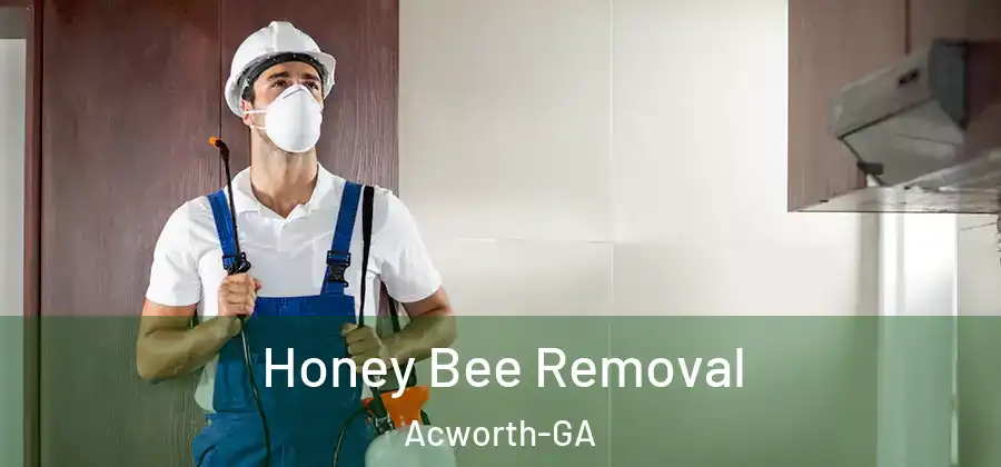  Honey Bee Removal Acworth-GA