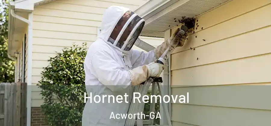  Hornet Removal Acworth-GA