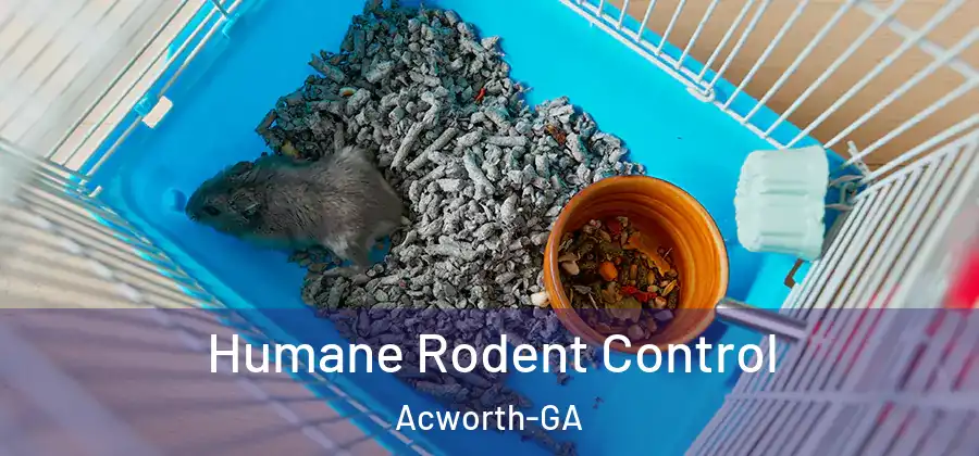 Humane Rodent Control Acworth-GA