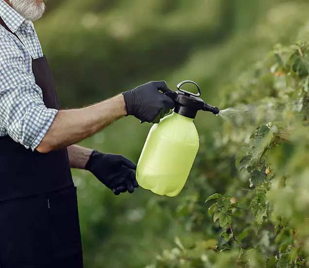 Your Proven Mosquito Treatment Company in Acworth, GA