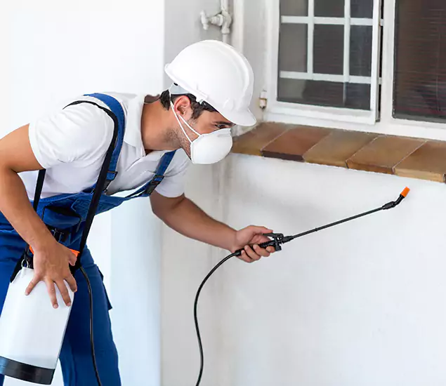 Your Professional Cockroach Exterminator in Acworth, GA