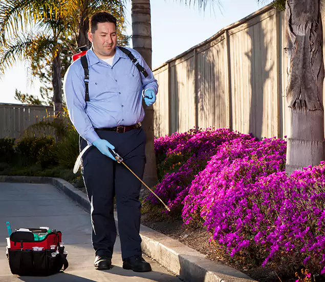 About Our Eco Safe Pest Control Experts in Acworth, GA