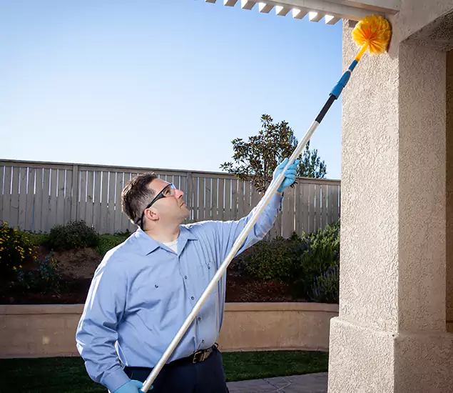 Trusted Experts in Acworth GA for Formosan Termite Treatment and Black Termite Control