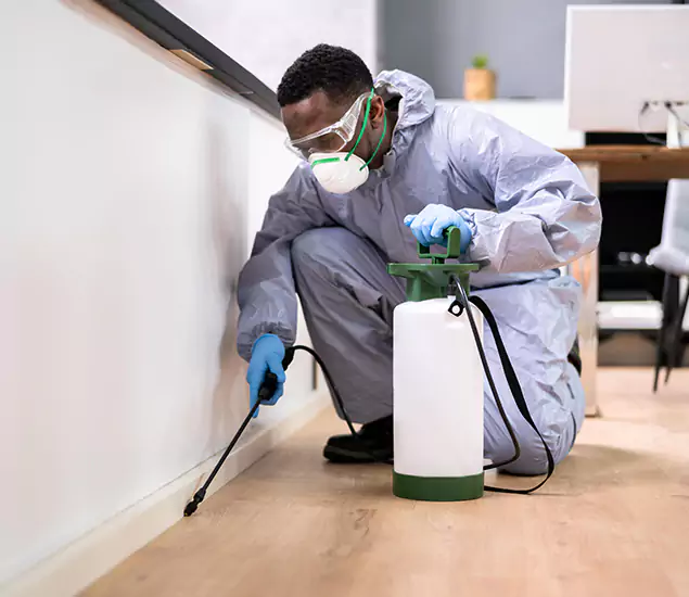 Leading Industrial Pest Control Experts Serving Acworth, GA