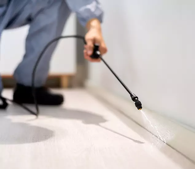 About Our Liquid Termite Treatment Experts in Acworth, GA