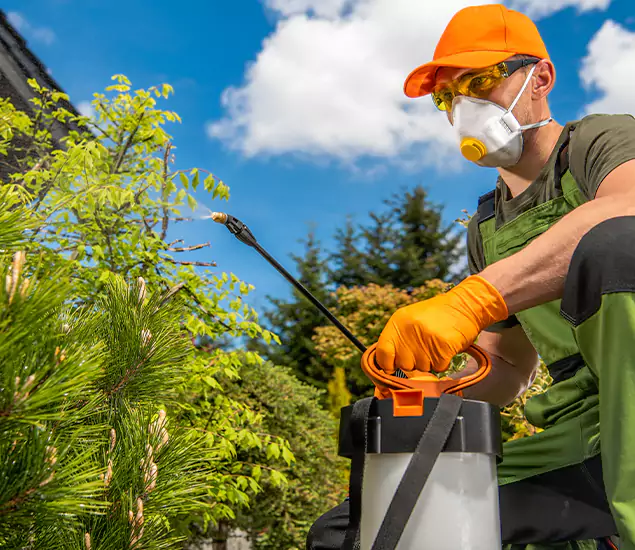 Your Mosquito Repellent Barrier Service in Acworth, GA