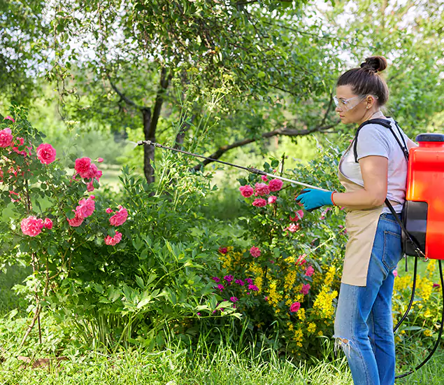 Your Trusted Mosquito Exterminator in Acworth, GA