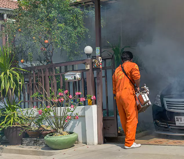 Your Proven Mosquito Fogging Company in Acworth, GA