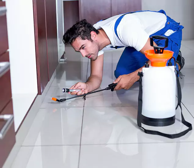 Reliable Professional Mouse Removal: Your Best Mouse Control Company in Acworth, GA