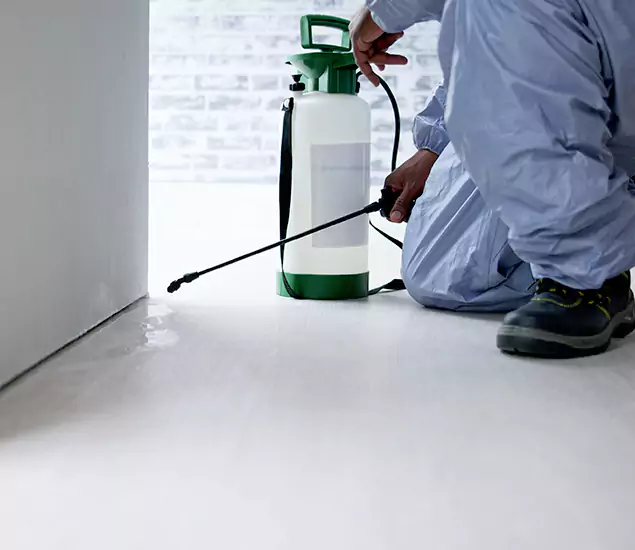 Affordable Pest Control Experts in Acworth, GA