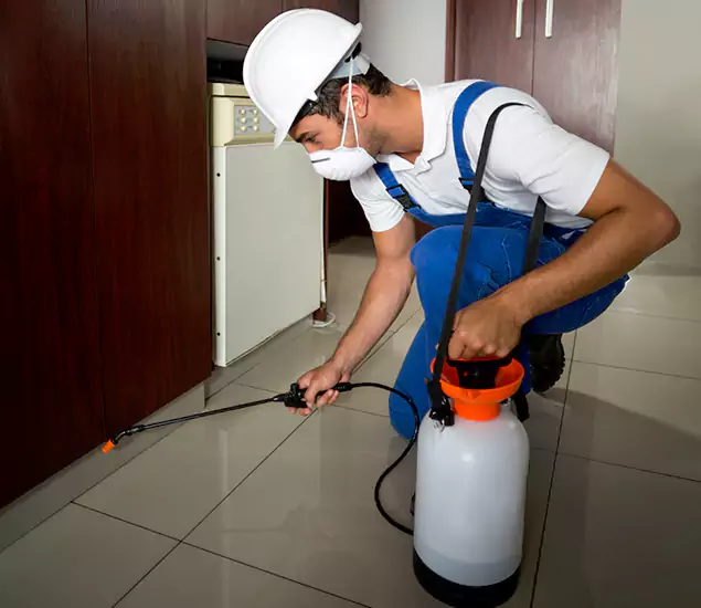 Advanced Termite Pre Treatment Experts in Acworth, GA