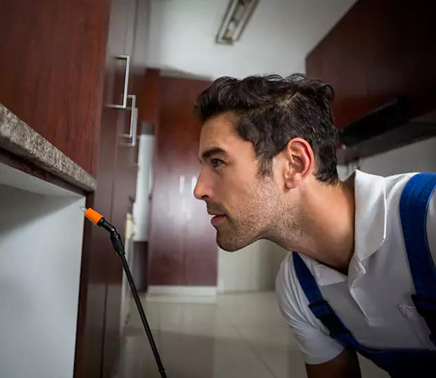 Expert Rodent in Attic Removal: Your Proven Pest Specialists in Acworth, GA