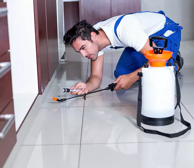 Advanced Slab Termite Treatment Experts You Can Trust&nbsp;in Acworth, GA