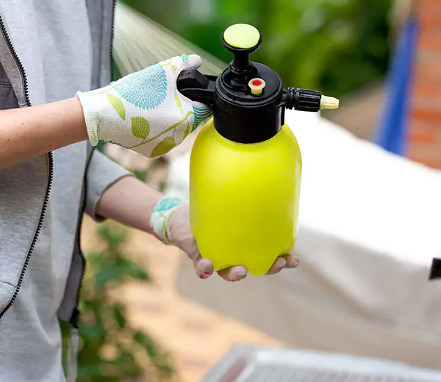 Skilled Residential Small Black Ant Service in Acworth, GA