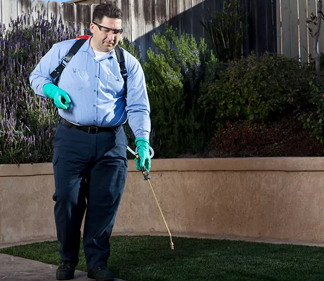 Reliable Termite Barrier Treatment Experts in Acworth, GA