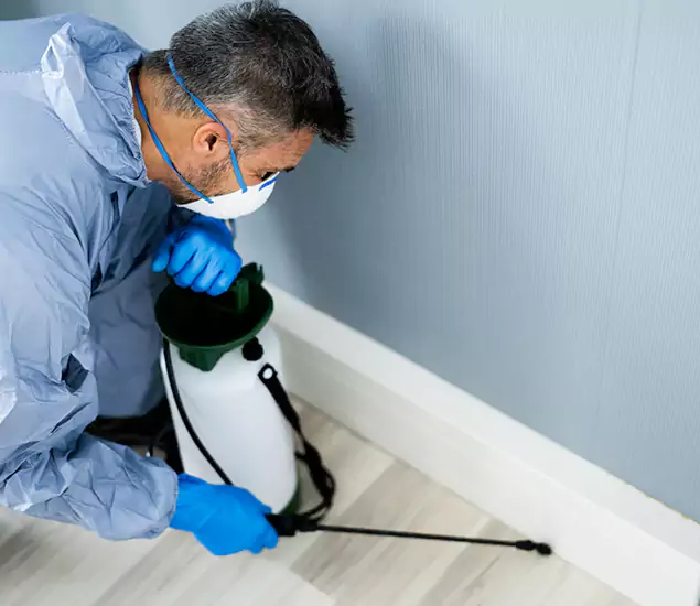 Reliable Termite Cost Experts in Acworth, GA