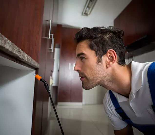 Termite Inspection Cost Experts You Can Trust in Acworth, GA