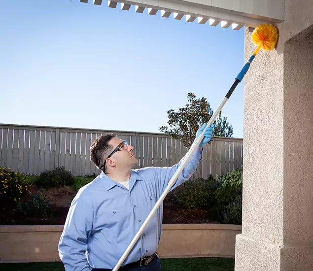 Your Trusted Wasp Removal Company in Acworth, GA