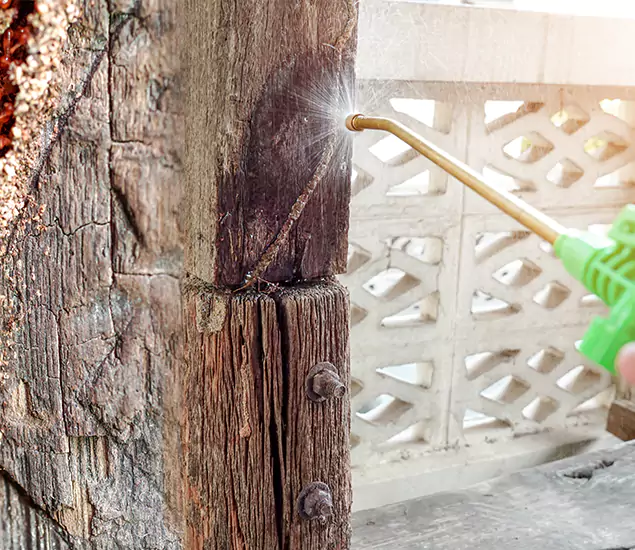 About Wood Termite Treatment Services in Acworth, GA