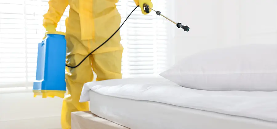 Targeted Chemical Application in Acworth