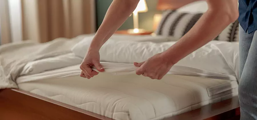 Bed Bug Extermination Services in Acworth