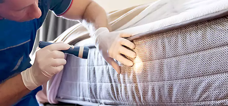 Residential Bed Bug Treatment Cost in Acworth