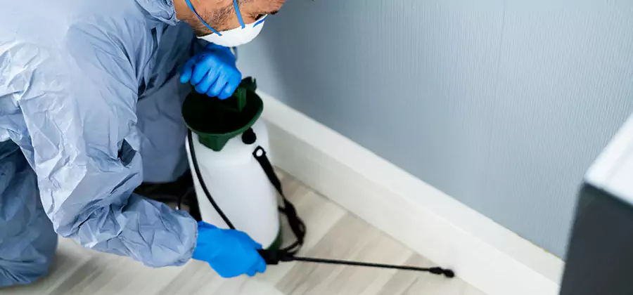Fumigate Apartment Roaches in Acworth