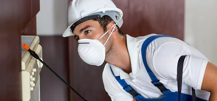 Injection Foam Treatment for Drywood Termites in Acworth